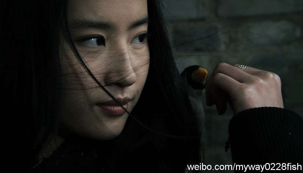 http://www.mshishang.net/pics/default/download/2d4f38e64da3401b37faf0533b41400d.jpg
