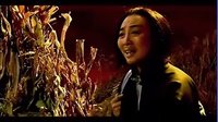 评剧名家张俊玲影视版“青灯照白头”