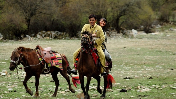 http://www.mshishang.net/pics/default/download/307ba28cb2ba99a980314cf009863356.jpg