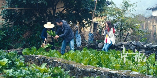 http://www.mshishang.net/pics/default/download/31b2328f8e675a44171a7feafc7c4e79.jpg