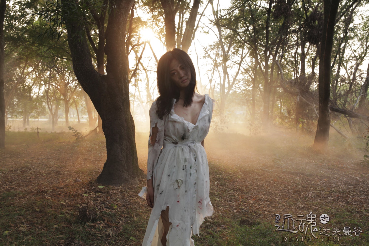 http://www.mshishang.net/pics/default/download/31de56ddfaecbd9476a6f37e3fb1031d.jpg