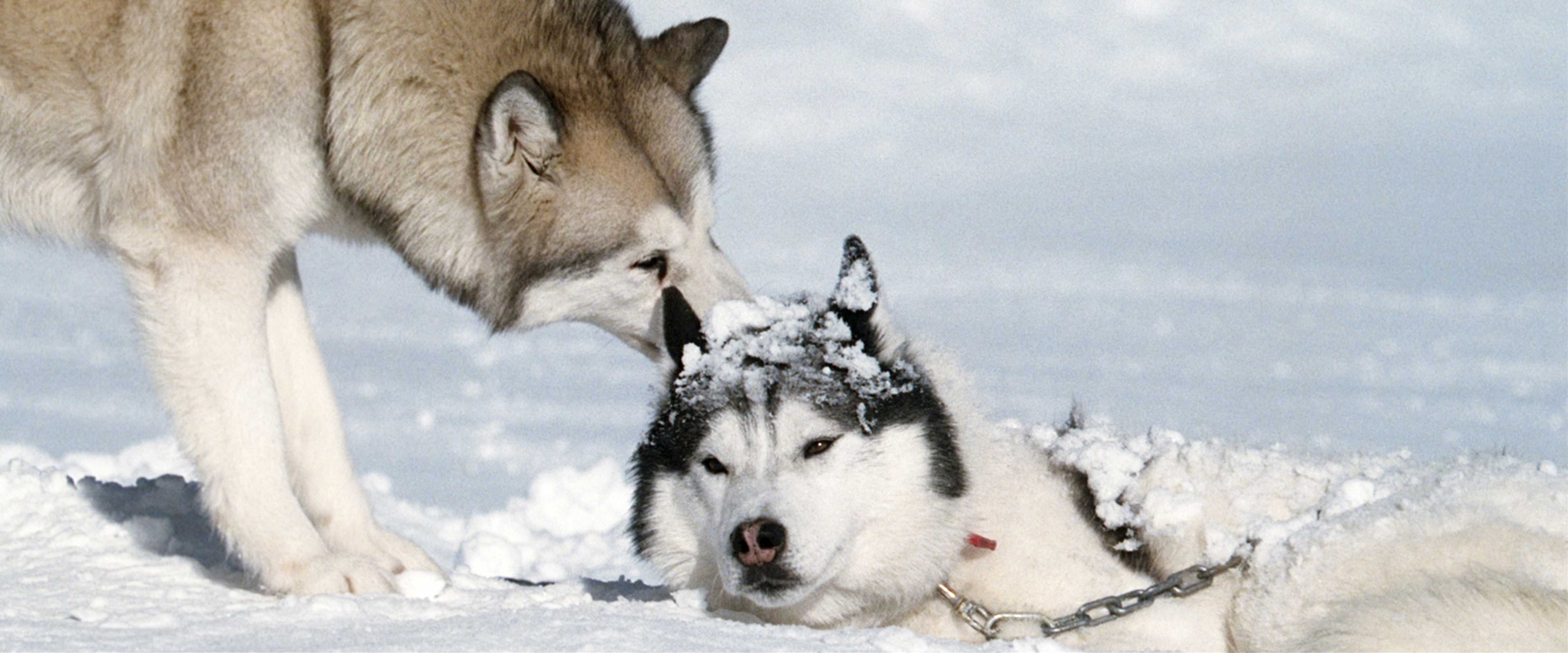http://www.mshishang.net/pics/default/download/362c139dfa4399f98399e06d499806f2.jpg