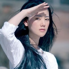 湛雅书 