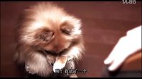 小姐好白_1