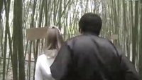 公主新娘 （Princess Bride) 第二部分