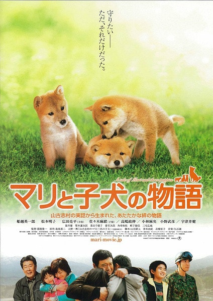 http://www.mshishang.net/pics/default/download/3cbb2088aa306d64f532422808fcb823.jpg