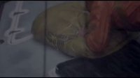 一无所有