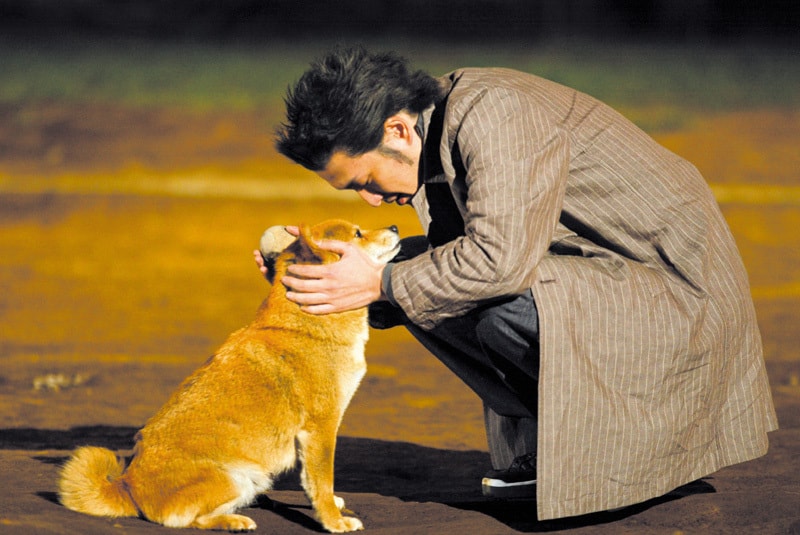 http://www.mshishang.net/pics/default/download/3da29370695b65441c6fe1e6dbbd0fec.jpg