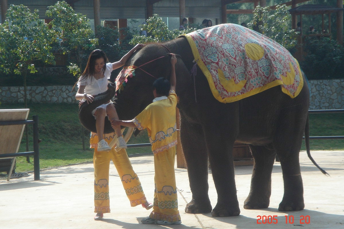 http://www.mshishang.net/pics/default/download/404a/50da8fec0e145468d09d52fa78a4.jpg