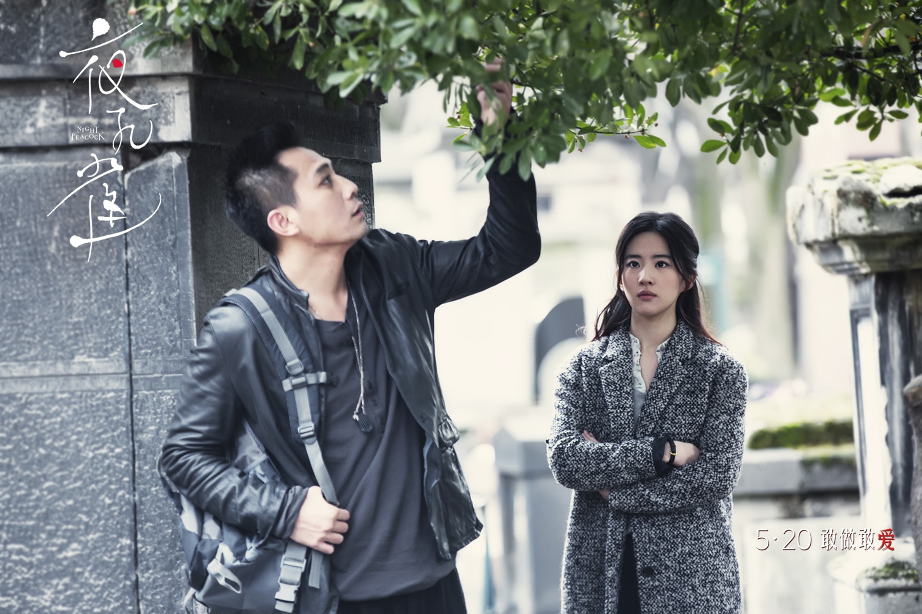 http://www.mshishang.net/pics/default/download/434b52fb426682cfee6fcd4b27ffb5c3.jpg