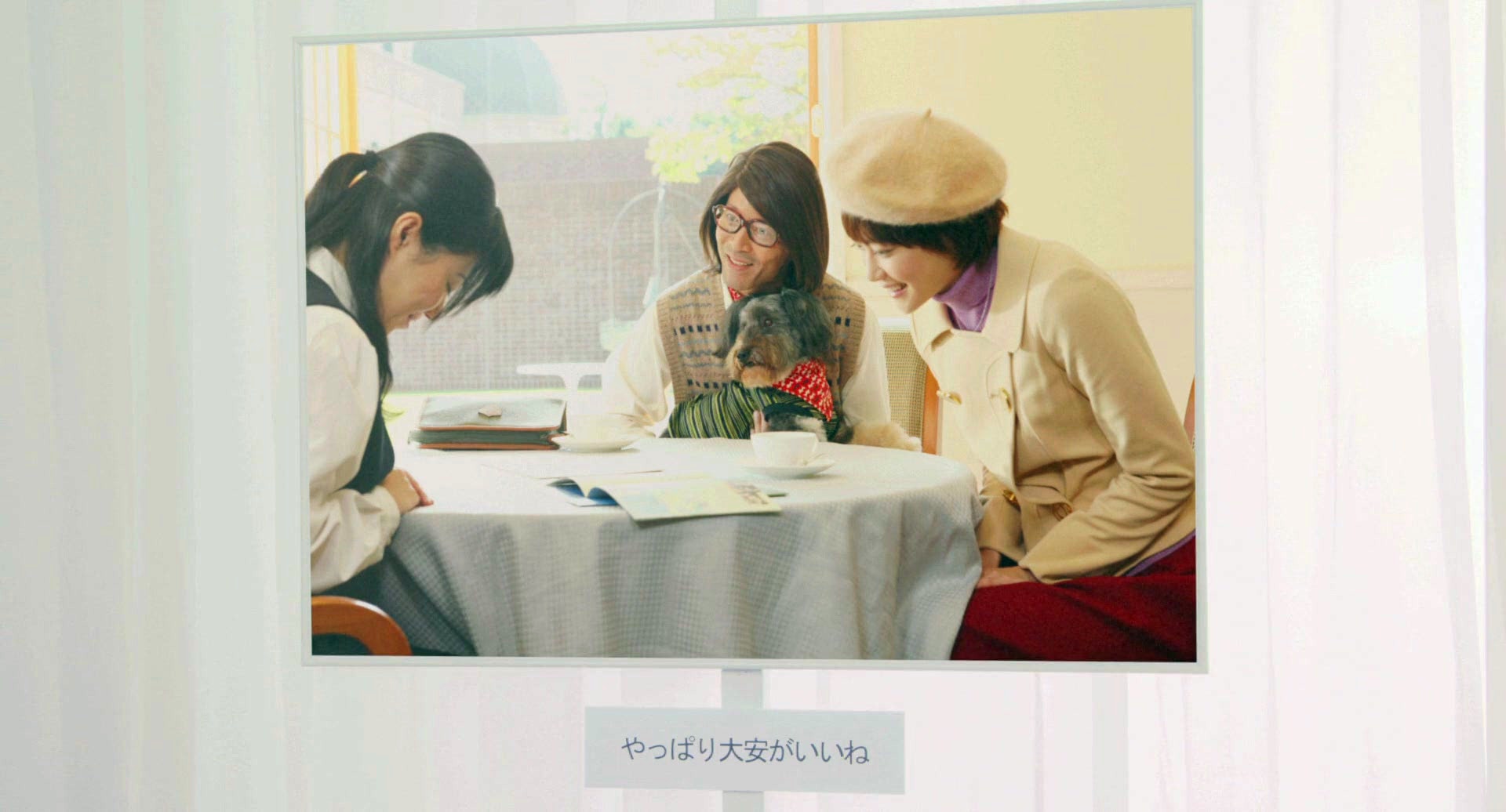 http://www.mshishang.net/pics/default/download/43f63dc02655aa5d06febcd5bc579f0a.jpg