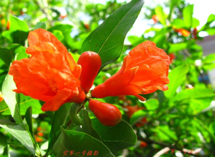 http://www.mshishang.net/pics/default/download/4476f2dcd602641fee4b2e2b52078834.jpg
