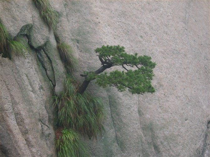 http://www.mshishang.net/pics/default/download/4712678bd95565de06ff8d7e8af7ff6e.jpg
