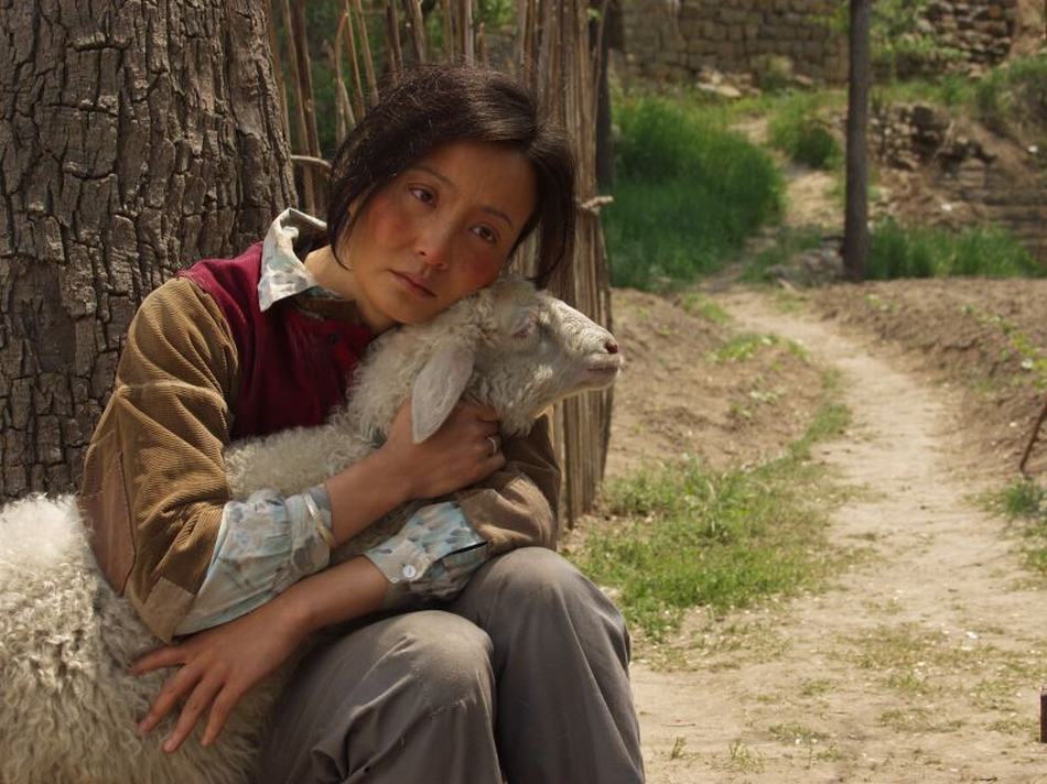 http://www.mshishang.net/pics/default/download/484e15265a4243d1b1121753c78f9bbc.jpg