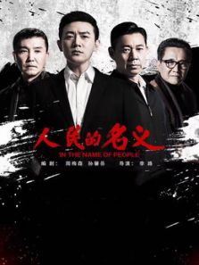 人民的名义[DVD版]