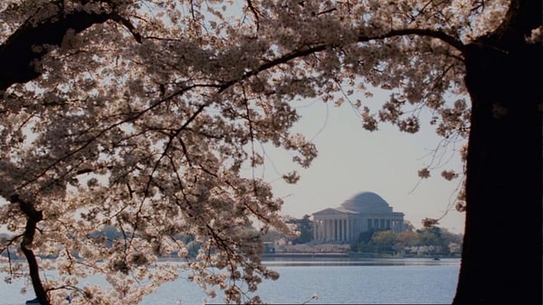 http://www.mshishang.net/pics/default/download/495c80b656120b2e16df54a523f6153b.jpg