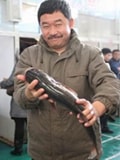 刘桦