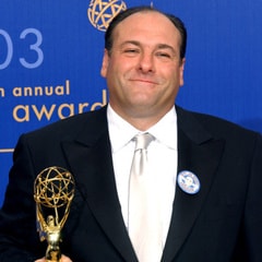 詹姆斯·甘多菲尼/James Gandolfini