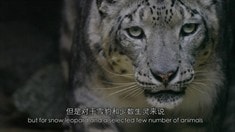 中文版预告片1