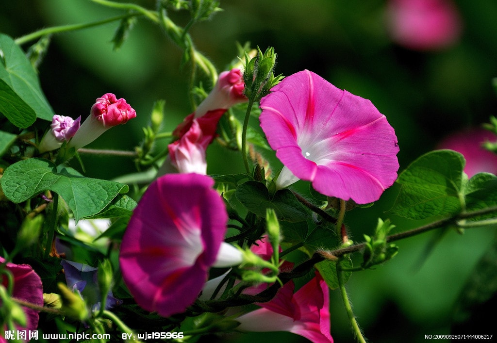 http://www.mshishang.net/pics/default/download/4d6eb5c5c3a015845eac8a0c9990372c.jpg