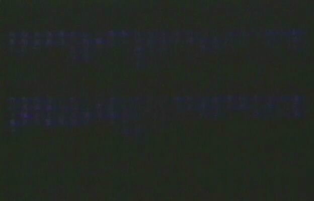 http://www.mshishang.net/pics/default/download/4da5be0d1a86ae819215eca81127eca2.jpg
