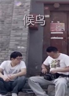候鸟（下）