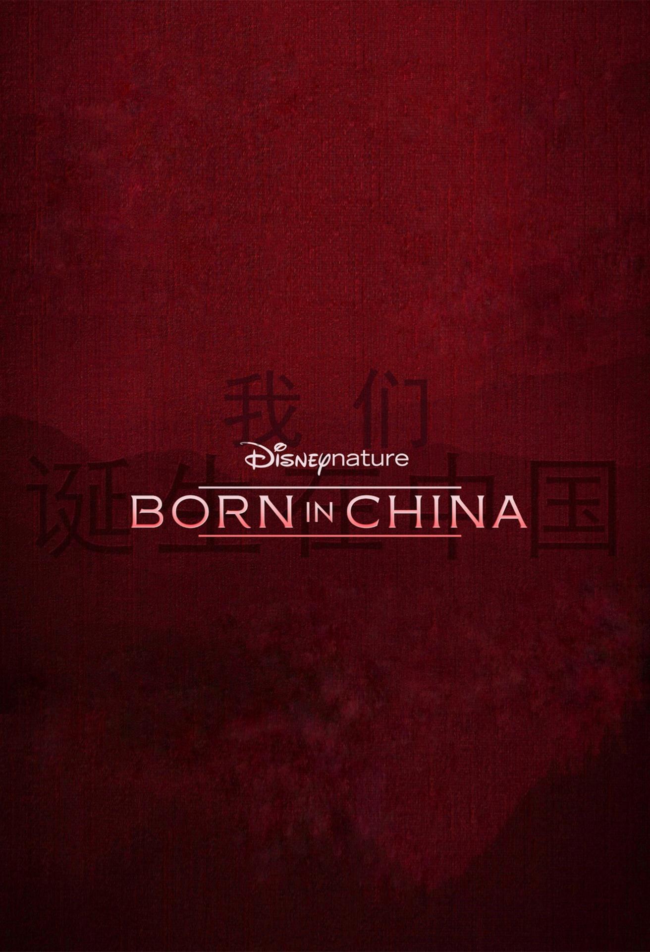 http://www.mshishang.net/pics/default/download/4ffb8f12070cf9f60c9df778a962bfd2.jpg