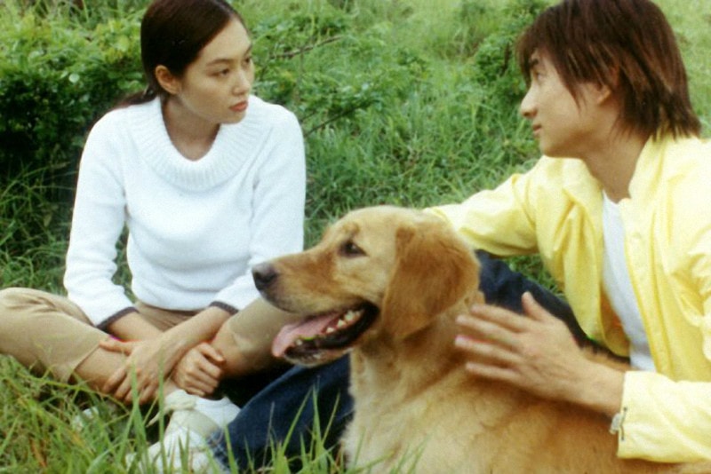 http://www.mshishang.net/pics/default/download/516bc223c88bbf0ed19227f793ec335b.jpg