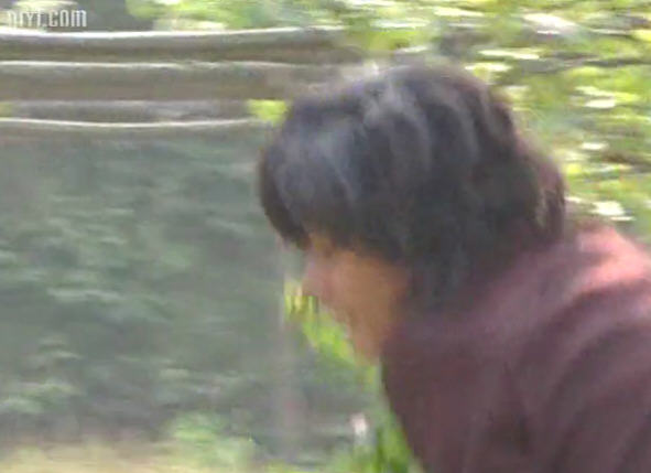 http://www.mshishang.net/pics/default/download/5203967d932310a7a274882af124fe5c.jpg