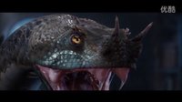 金刚蛤蟆抢夺奇幻精灵事件簿-下