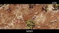 美国灾难大片 海啸奇迹 高清2分16秒预告片  8月29日上映