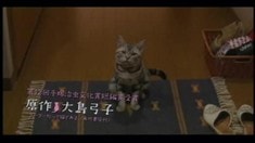 电视宣传片