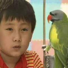 江以桢