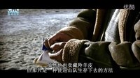 电影《可可西里》：震撼人心的镜头，看哭了多少观众
