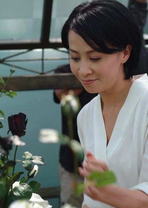 http://www.mshishang.net/pics/default/download/598da2f19e615c1385efe4ad5eeb4418.jpg