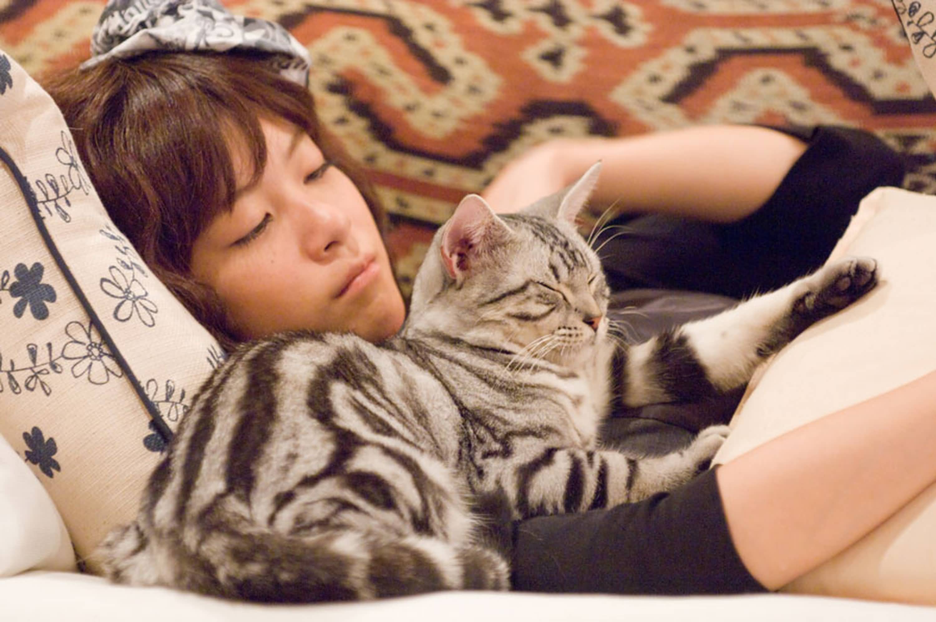 http://www.mshishang.net/pics/default/download/5ac1db44a7455f88a5a6a0adabf8d2dd.jpg