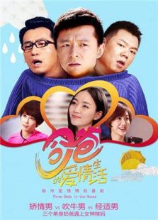 奶爸的爱情生活 TV版