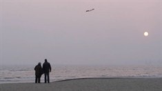 预告片