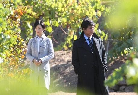 http://www.mshishang.net/pics/default/download/5d21bfc574099a9ad817a6bc294a45cd.jpg