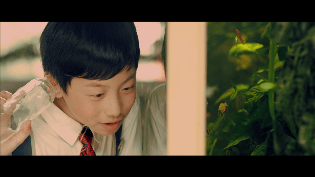 http://www.mshishang.net/pics/default/download/5e0d9048a7fcf5837d0838770cc1ece5.jpg