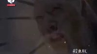 中天綜合台《花千骨》她是他的生死劫？！將會有潑天大罪迎面而來嗎...？