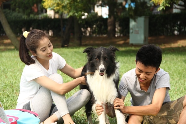 http://www.mshishang.net/pics/default/download/63aa136c02914c83bd993ddb23bf6d69.jpg