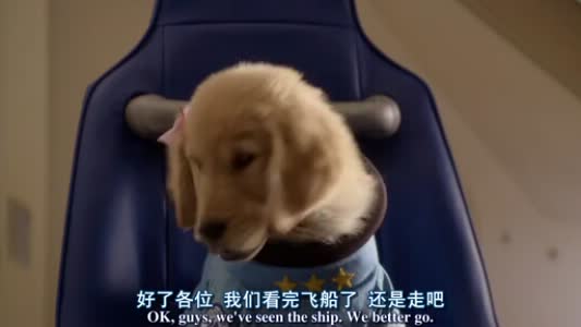 http://www.mshishang.net/pics/default/download/63b1a702c2d1df0f610921294b219de9.jpg
