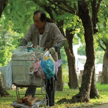 小戽斗 