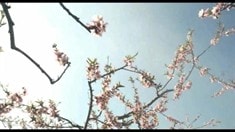 预告片1