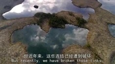 片段