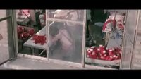 七夕情人节