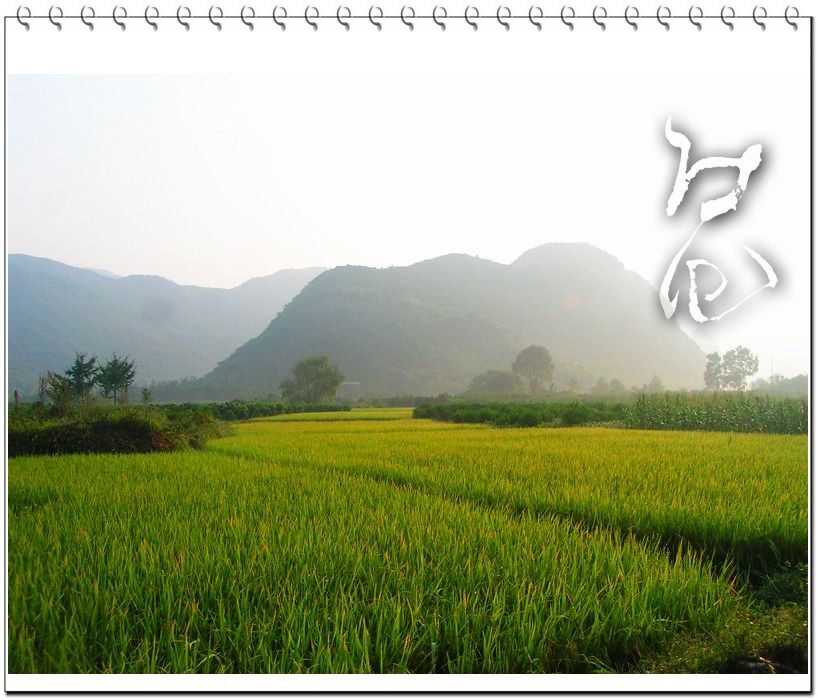 http://www.mshishang.net/pics/default/download/6b638593018d0e1c9e48a53c3a60f302.jpg