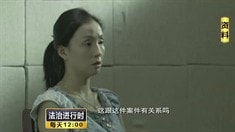 宣传片之“小陶虹民间反腐