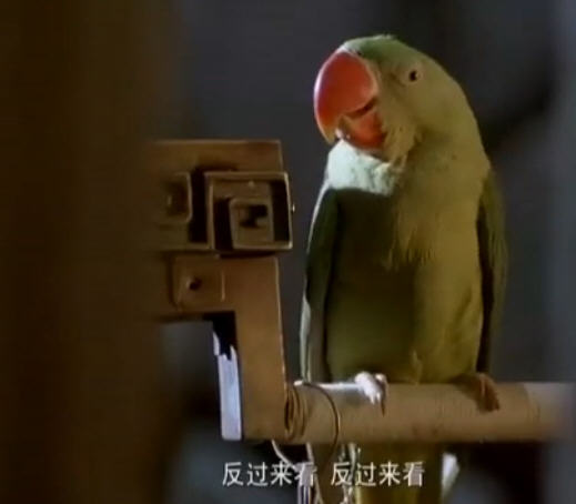 http://www.mshishang.net/pics/default/download/6dd530501516442e9c4697356f3f4f0a.jpg